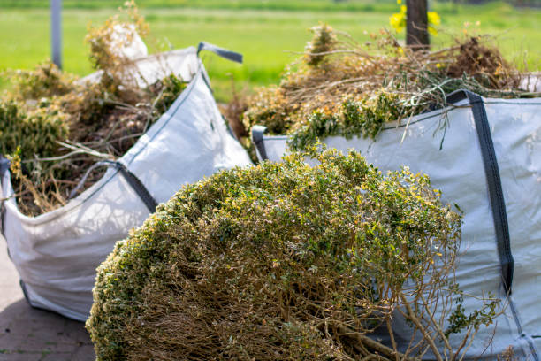 Best Construction Debris Removal  in , IA